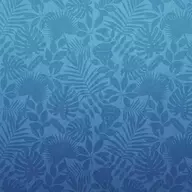 TMP